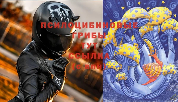 дживик Балахна