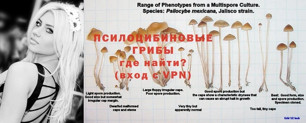 прущая мука Белоозёрский
